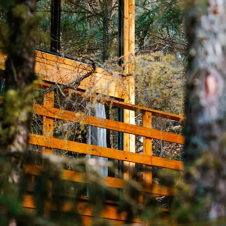Wood Land Liswarta Domki W Drzewach Popow  Exterior photo