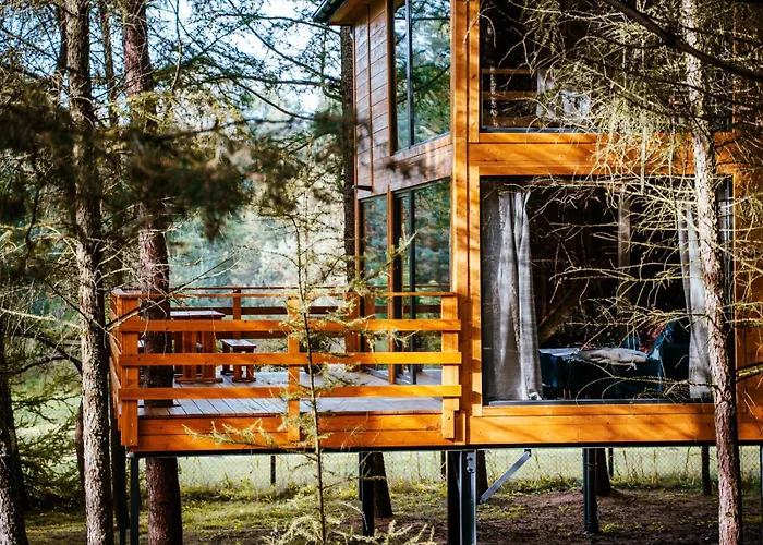 Wood Land Liswarta Domki W Drzewach