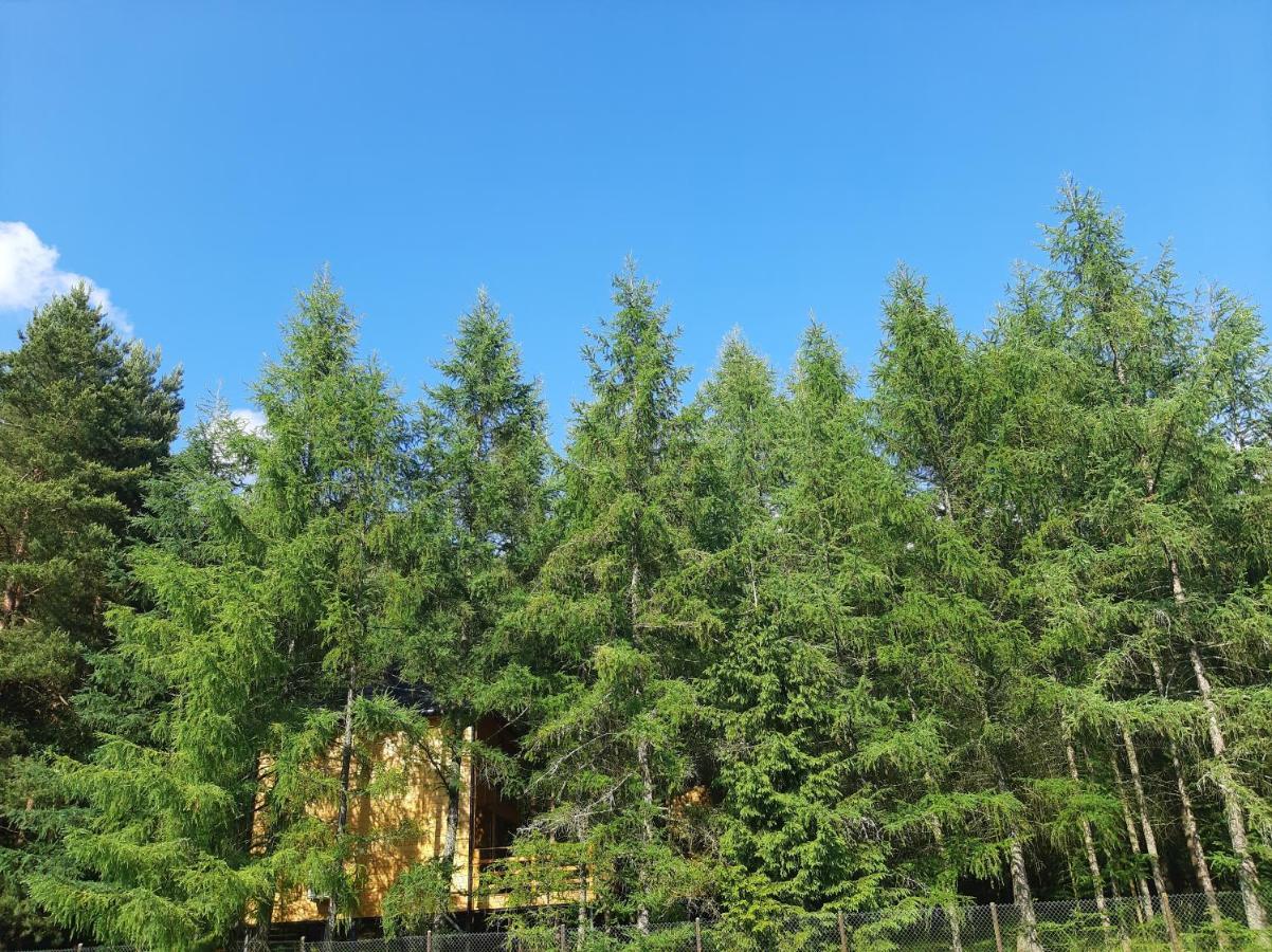 Wood Land Liswarta W Drzewach Popow (Silesia)
