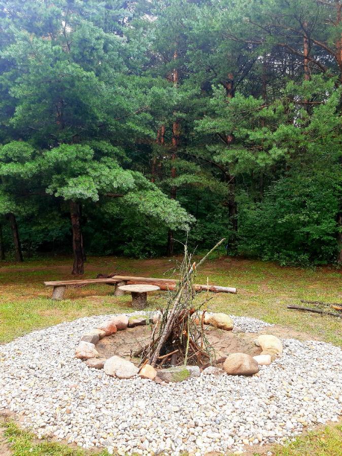 Wood Land Liswarta W Drzewach * Popow (Silesia)