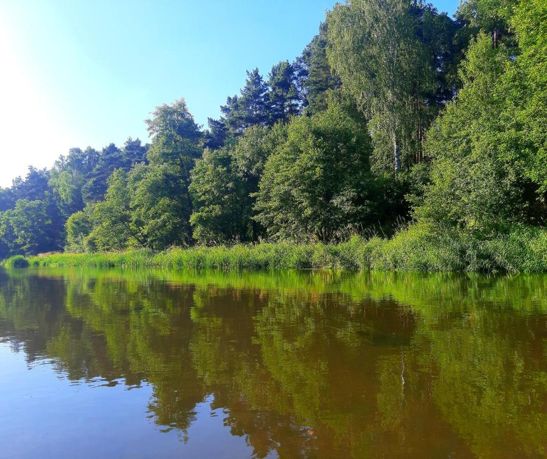 Wood Land Liswarta W Drzewach