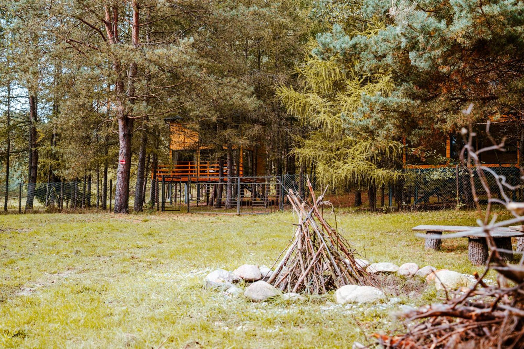 Wood Land Liswarta W Drzewach Apartment